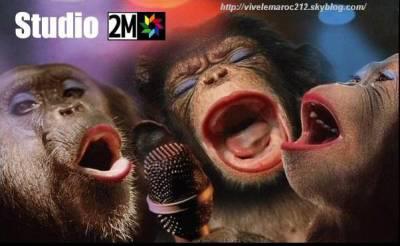 2m